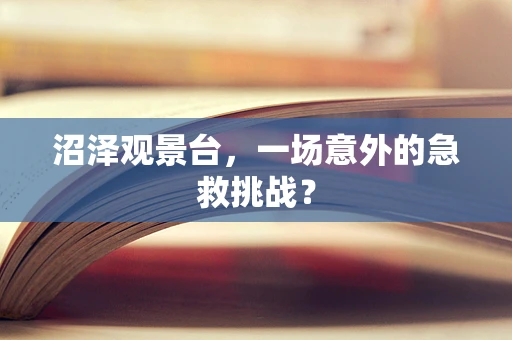 沼泽观景台，一场意外的急救挑战？